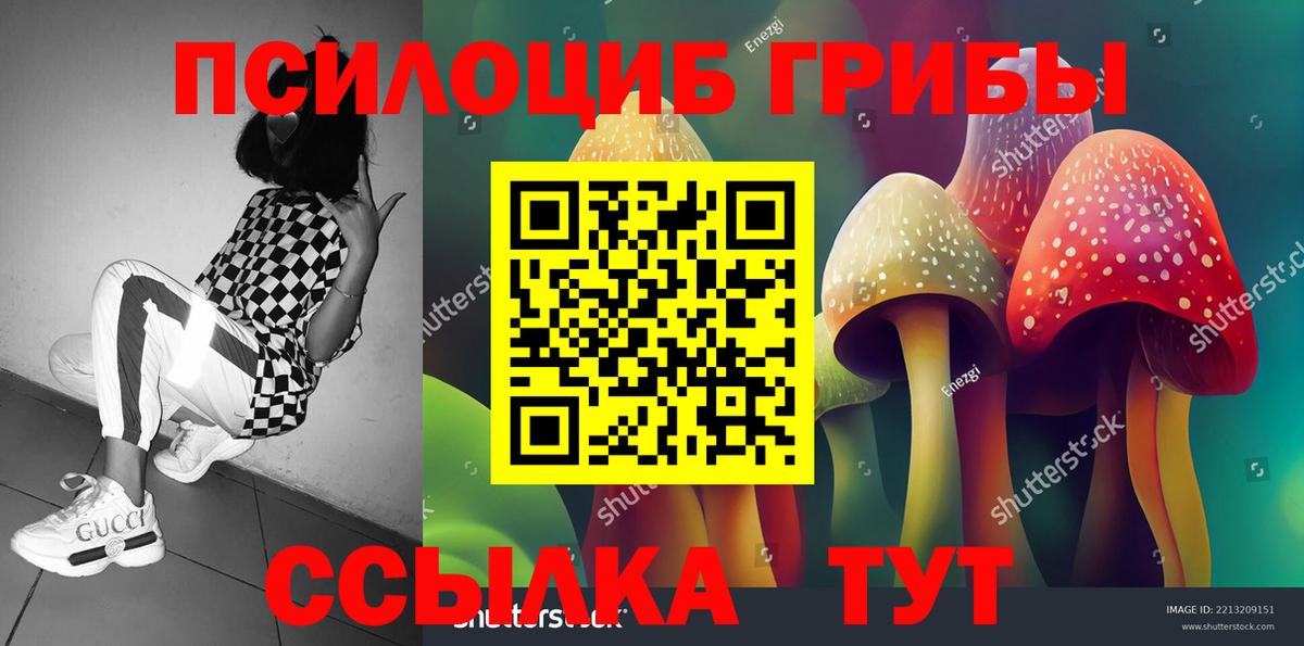 Галлюциногенные грибы Cubensis  купить наркотики цена  Можайск  Вход с VPN 